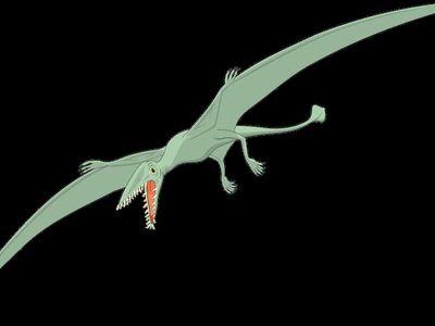 Puzzle de Puzzle de Pterodáctilo con alas y colmillos