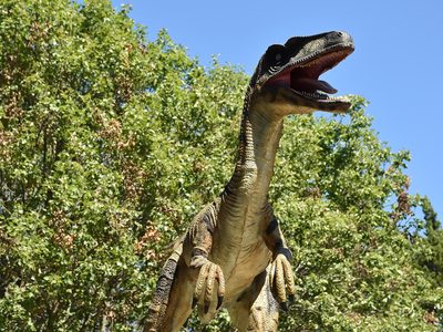 Puzzle de Puzzle de Velociraptor en la naturaleza salvaje