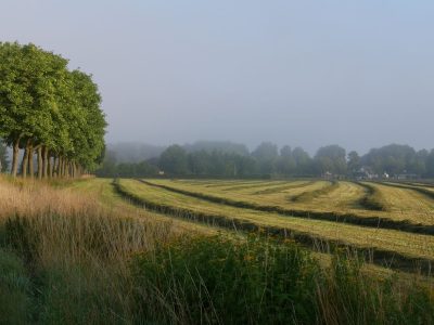 Farm jigsaw puzzle: Freshly Cut Hay Field at Dawn